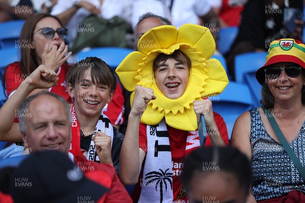 040726 - Fiji v Wales - Nations Championship - Wales fans before the game
