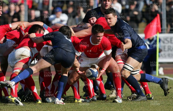 28.02.09 - France U20 v Wales U20 - Under 20 Six Nations 2009 - Wales Travis Knoyle tries to release the ball from a scrum. 