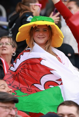 120425 - France v Wales, Guinness Women’s Six Nations 2025 - Wales fans at half time