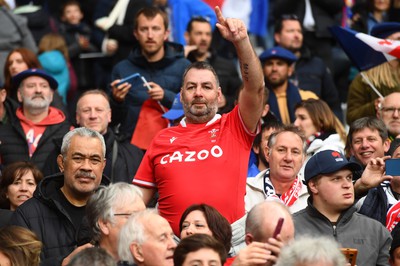 180323 - France v Wales - Guinness Six Nations - Wales fans