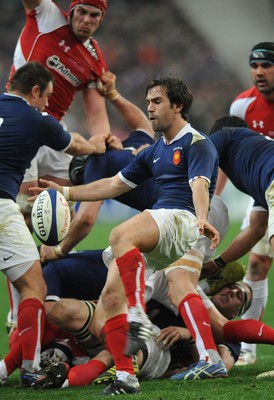 19.03.11 - France v Wales - RBS Six Nations 2011 - Morgan Parra of France. 