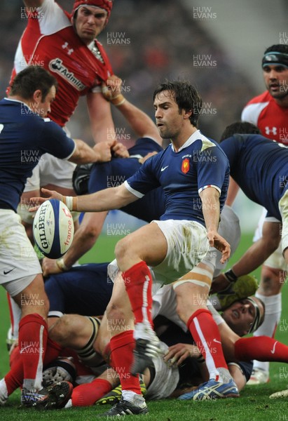 19.03.11 - France v Wales - RBS Six Nations 2011 - Morgan Parra of France. 