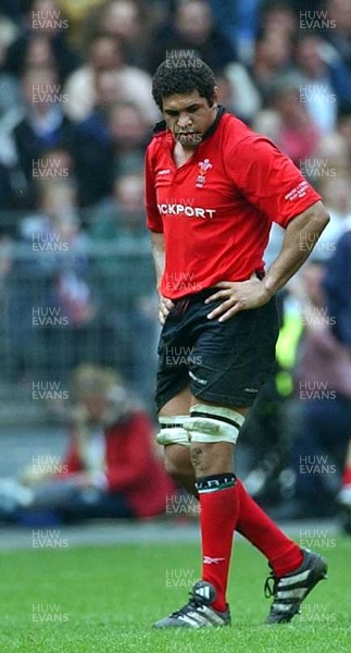 290303 - France v Wales - Six Nations Championship - Colin Charvis dejected as he leaves the field after crashing to France