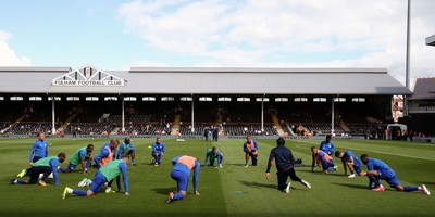 Fulham v Cardiff City 090917