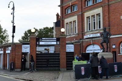 Fulham v Cardiff City 201021