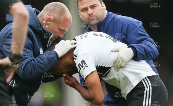 270419 - Fulham v Cardiff City, Premier League - Denis Odoi of Fulham receives treatment before being stretchered off with an injury