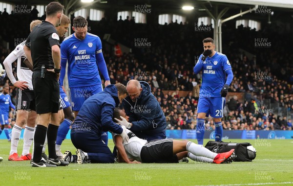 270419 - Fulham v Cardiff City, Premier League - Denis Odoi of Fulham receives treatment before being stretchered off