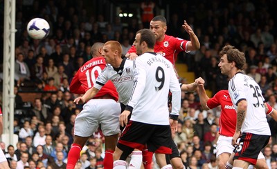 Fulham v Cardiff City 280913