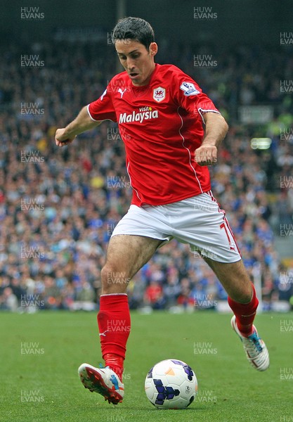 280913 - Fulham vs Cardiff City - Barclays Premier League - Peter Whittingham of Cardiff(c) Huw Evans Agency