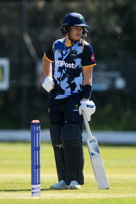 140525 - Glamorgan 2nd XI v Cardiff UCCE - T20 Blast Friendly - Callum Nicholls of Glamorgan