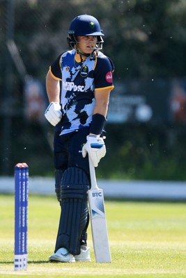 140525 - Glamorgan 2nd XI v Cardiff UCCE - T20 Blast Friendly - Callum Nicholls of Glamorgan