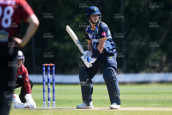 140525 - Glamorgan 2nd XI v Cardiff UCCE - T20 Blast Friendly - Callum Nicholls of Glamorgan batting