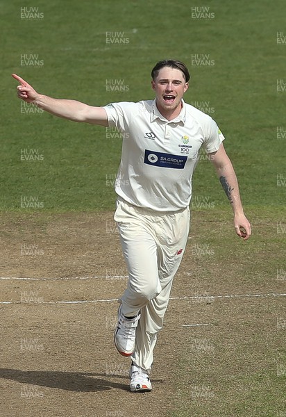 310321 Glamorgan v Cardiff UCCE, Pre-season Friendly - Dan Douthwaite of Glamorgan celebrates after taking wicket