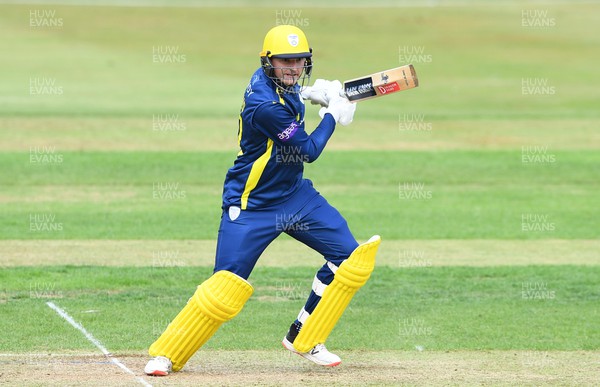 190822 - Glamorgan v Hampshire - Royal London Cup - Aneurin Donald of Hampshire plays a shot