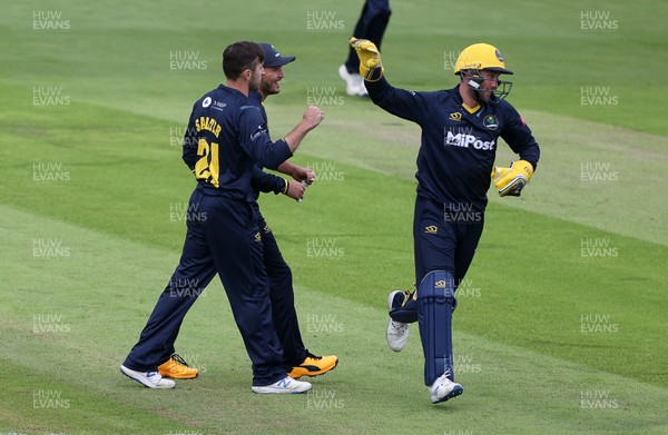 300820 - Glamorgan Cricket v Birmingham Bears - Vitality T20 Blast - Andrew Salter and Chris Cooke celebrate after Ian Bell is caught by Billy Root