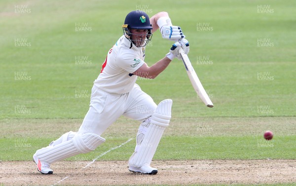 060419 - Glamorgan Cricket v Cardiff MCCU - Friendly - David Lloyd of Glamorgan batting