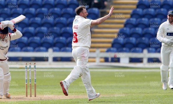 070419 - Glamorgan v Cardiff MCCU - Friendly - Graham Wagg of Glamorgan celebrates taking a wicket