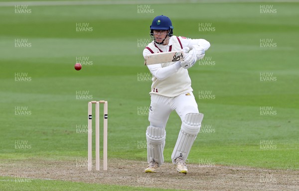 310324 - Glamorgan Cricket v Cardiff UCCE - Pre Season Friendly - Asa Tribe of Cardiff batting