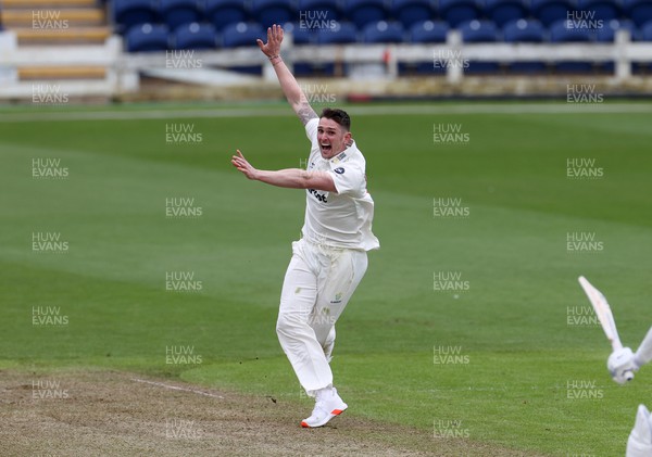 310324 - Glamorgan Cricket v Cardiff UCCE - Pre Season Friendly - Harry Podmore of Glamorgan successfully appeals for the wicket of Asa Tribe