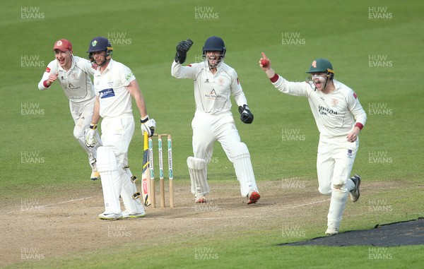 300321 Glamorgan v Cardiff UCCE, Pre-season Friendly - Steven Reingold of Cardiff UCCE, right, celebrates as he catches Chris Cooke of Glamorgan