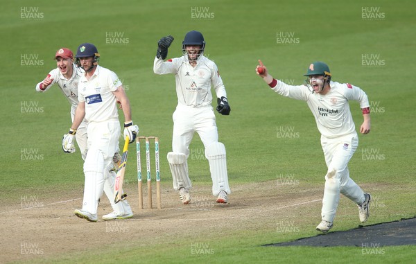 300321 Glamorgan v Cardiff UCCE, Pre-season Friendly - Steven Reingold of Cardiff UCCE, right, celebrates as he catches Chris Cooke of Glamorgan