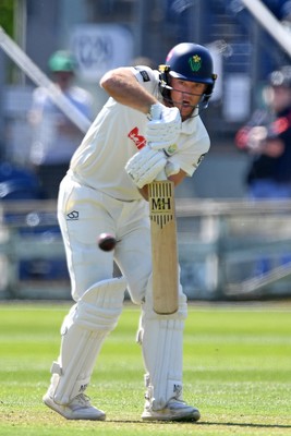020525 - Glamorgan v Derbyshire - Rothesay County Championship - Colin Ingram of Glamorgan batting