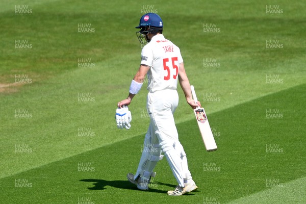 020525 - Glamorgan v Derbyshire - Rothesay County Championship - Asa Tribe of Glamorgan is bowled out by Luis Reece of Derbyshire