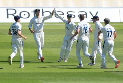 030525 - Glamorgan v Derbyshire, Rothesay County Championship Division 2, Day 2 - Derbyshire celebrate as they take the wicket of Colin Ingram of Glamorgan