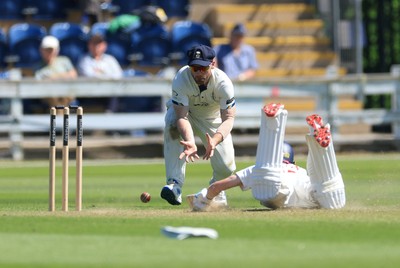030525 - Glamorgan v Derbyshire, Rothesay County Championship Division 2, Day 2 - Andy Gorvin of Glamorgan just avoids a run out as Brooke Guest of Derbyshire dives for the wicket