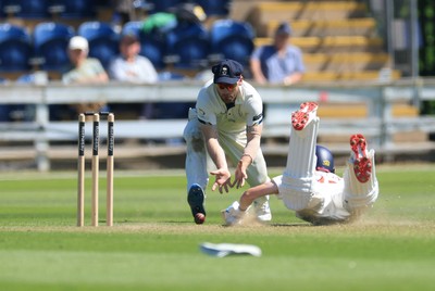030525 - Glamorgan v Derbyshire, Rothesay County Championship Division 2, Day 2 - Andy Gorvin of Glamorgan just avoids a run out as Brooke Guest of Derbyshire dives for the wicket