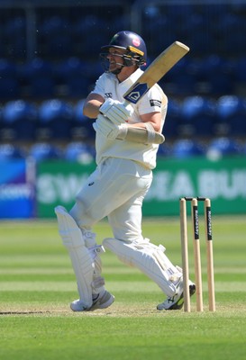 030525 - Glamorgan v Derbyshire, Rothesay County Championship Division 2, Day 2 - Timm van der Gugten of Glamorgan plays a shot