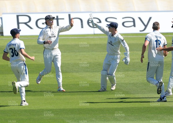 030525 - Glamorgan v Derbyshire, Rothesay County Championship Division 2, Day 2 - Derbyshire celebrate as they take the wicket of Colin Ingram of Glamorgan