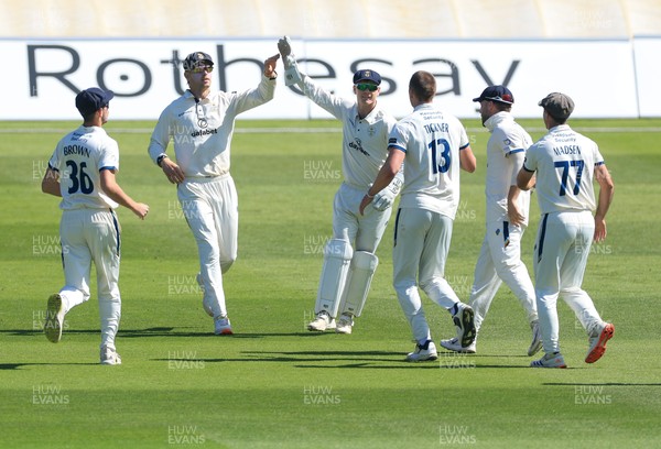 030525 - Glamorgan v Derbyshire, Rothesay County Championship Division 2, Day 2 - Derbyshire celebrate as they take the wicket of Colin Ingram of Glamorgan