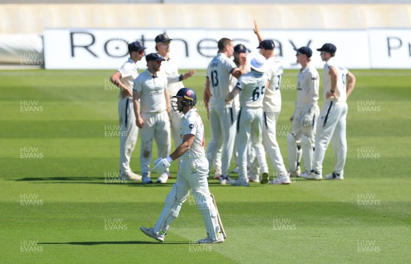 030525 - Glamorgan v Derbyshire, Rothesay County Championship Division 2, Day 2 - Derbyshire celebrate as they take the wicket of Colin Ingram of Glamorgan