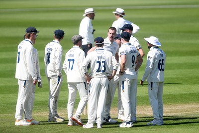 040525 - Glamorgan v Derbyshire - Rothesay County Championship - Asa Tribe of Glamorgan is LBW to Blair Tickner of Derbyshire and celebrates with team mates
