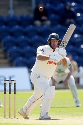 040525 - Glamorgan v Derbyshire - Rothesay County Championship - Colin Ingram of Glamorgan batting