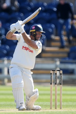 040525 - Glamorgan v Derbyshire - Rothesay County Championship - Colin Ingram of Glamorgan batting