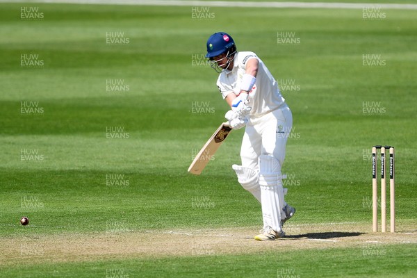 040525 - Glamorgan v Derbyshire - Rothesay County Championship - Asa Tribe of Glamorgan batting