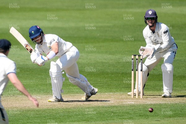 040525 - Glamorgan v Derbyshire - Rothesay County Championship - Asa Tribe of Glamorgan batting