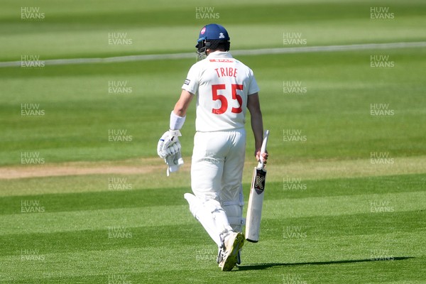 040525 - Glamorgan v Derbyshire - Rothesay County Championship - Asa Tribe of Glamorgan is LBW to Blair Tickner of Derbyshire