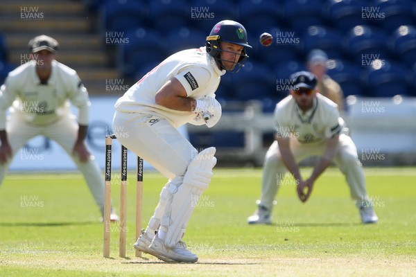 040525 - Glamorgan v Derbyshire - Rothesay County Championship - Colin Ingram of Glamorgan batting
