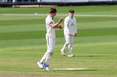 120424 - Glamorgan v Derbyshire - Vitality County Championship, Division Two - Blair Tickner of Derbyshire celebrates taking the wicket of Sam Northeast of Glamorgan