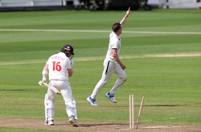 120424 - Glamorgan v Derbyshire - Vitality County Championship, Division Two - Blair Tickner of Derbyshire celebrates taking the wicket of Sam Northeast of Glamorgan