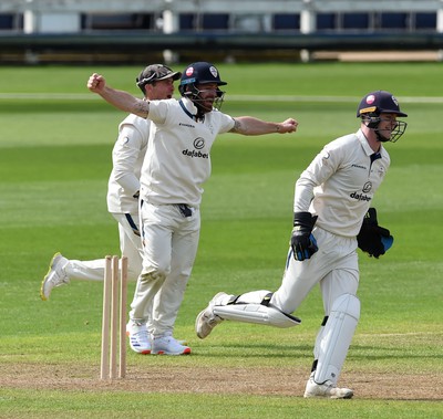 120424 - Glamorgan v Derbyshire - Vitality County Championship, Division 2 - Blair Tickner of Derbyshire celebrates taking the wicket of Sam Northeast of Glamorgan