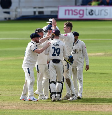 120424 - Glamorgan v Derbyshire - Vitality County Championship, Division 2 - Blair Tickner of Derbyshire celebrates taking the wicket of Sam Northeast of Glamorgan