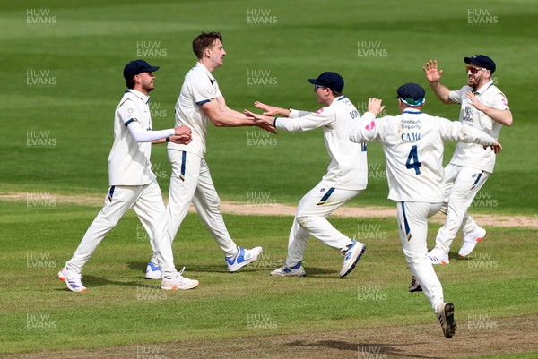 120424 - Glamorgan v Derbyshire - Vitality County Championship, Division Two - Blair Tickner of Derbyshire celebrates after Billy Root of Glamorgan is caught by Brooke Guest
