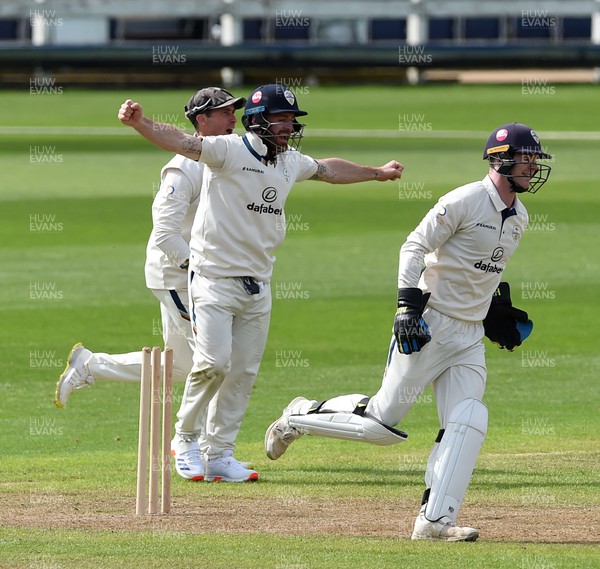 120424 - Glamorgan v Derbyshire - Vitality County Championship, Division 2 - Blair Tickner of Derbyshire celebrates taking the wicket of Sam Northeast of Glamorgan