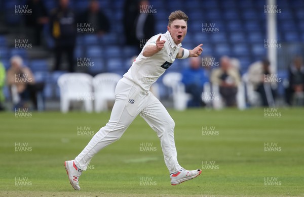 120619 - Glamorgan v Derbyshire, Specsavers County Championship Division 2 - Dan Douthwaite of Glamorgan celebrates after Luis Reece of Derbyshire is caught by Graham Wagg of Glamorgan off his bowling