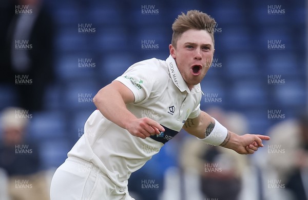 120619 - Glamorgan v Derbyshire, Specsavers County Championship Division 2 - Dan Douthwaite of Glamorgan celebrates after Luis Reece of Derbyshire is caught by Graham Wagg of Glamorgan off his bowling