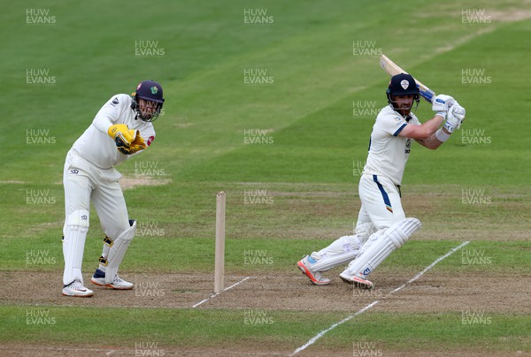 130424 - Glamorgan v Derbyshire - Vitality County Championship, Division Two - David Lloyd of Derbyshire batting